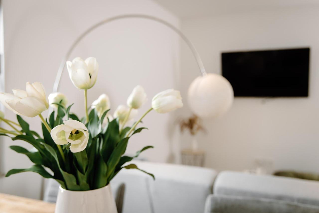 Moderne Suite No1 Im Herzen Von Hameln 哈默尔恩 外观 照片